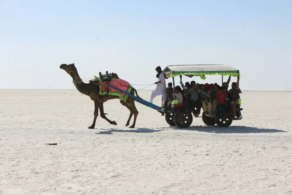 Rann of Kutch, Gujarat